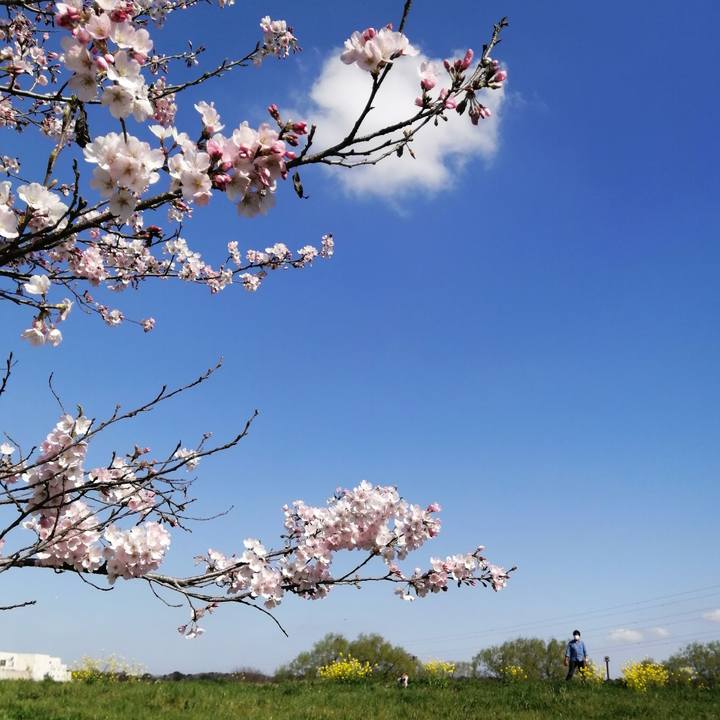 C1fca8ed ec99 46c3 8671 2aa90344941a 1679490145723