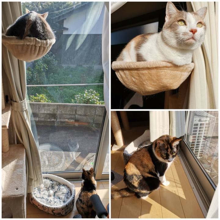 C1fcb276 4cd1 4c3a 8746 a782a3a17673 1667879269920