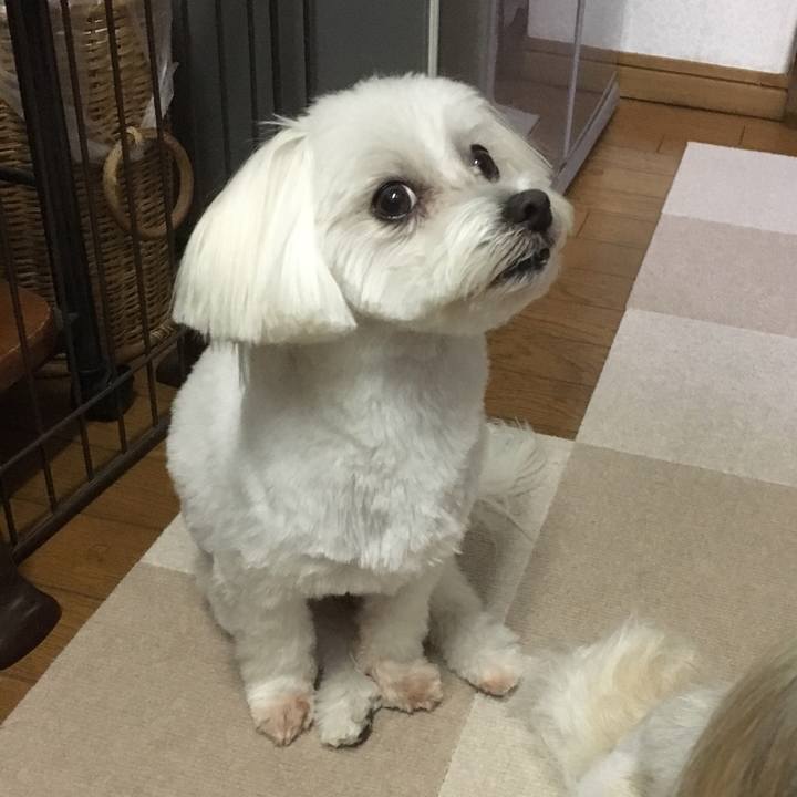 C1fd23f4 faea 49e2 8f9f 17e10b4ab303 1532168700120