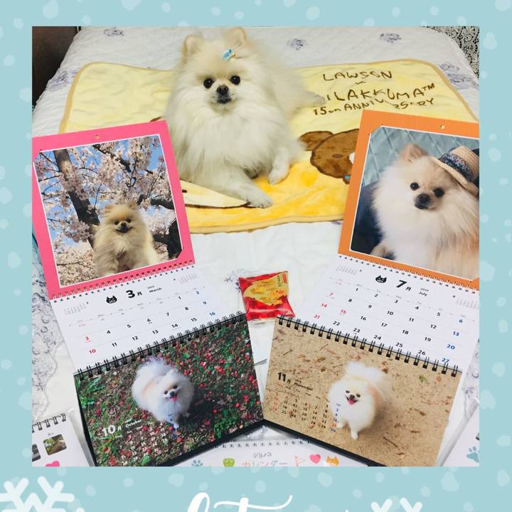 C1fd24f9 6cca 49d8 a95c 101c0dd3b85c 1546076938868