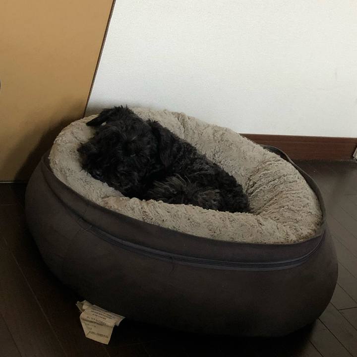 C1fd2b37 567a 4295 9349 f731de8b1fa5 1649630823918