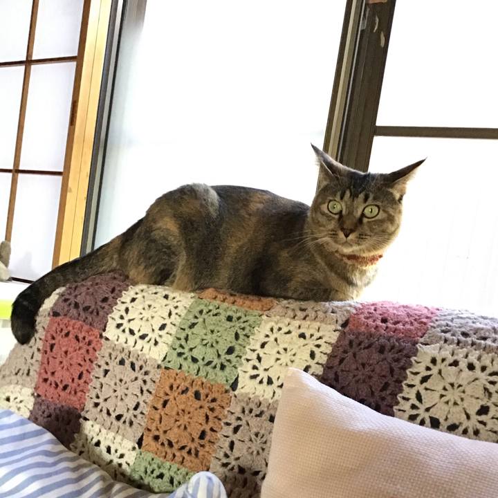 C1fd4d2d 3dd1 4214 b2dc e8f4bb97ec92 1632112663381