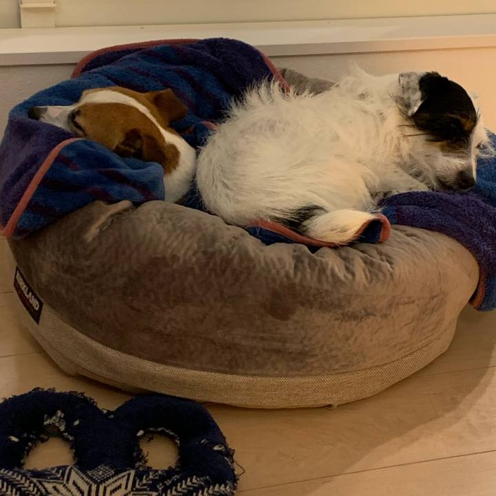 C1fd5e16 362e 4cd3 a556 a387848fa9a2 1583408959055