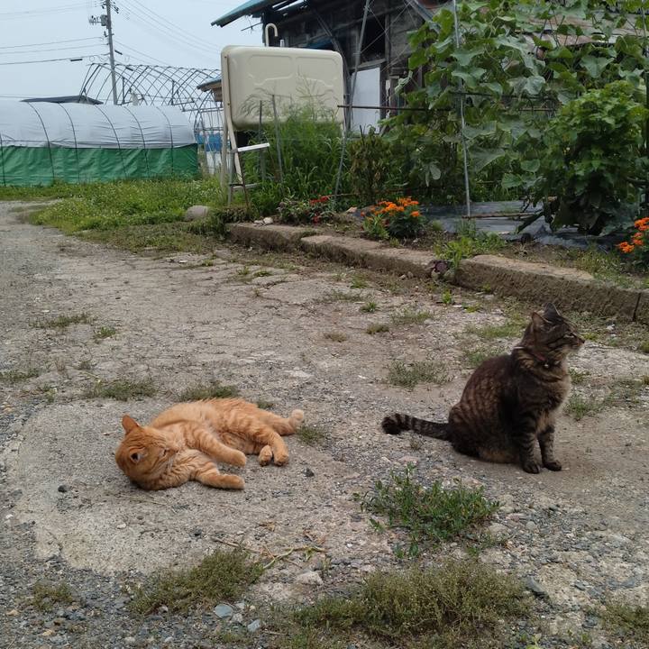 C1fd8abd ad28 40f4 9d65 7bf1f3e5f735 1720863671765