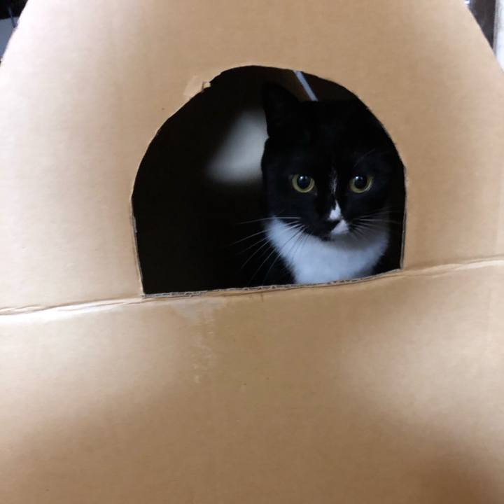 C1fd8be2 aa89 4ada a446 444fabac6910 1544403452151