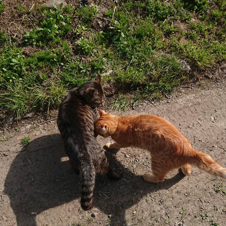 C1fd9223 db4e 4e03 8f0d 99b2dd0f55aa 1650889259130