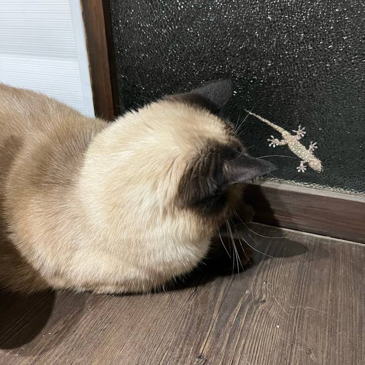 C1fd9d5a 6181 4fb1 9b58 742bc45681b8 1723546821853