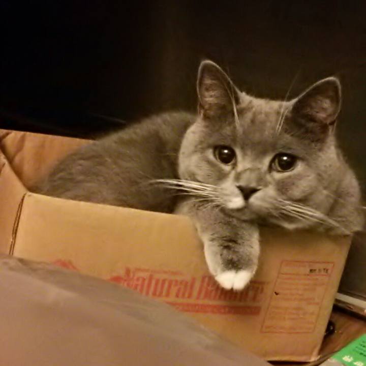 C1fdc3f1 3dba 4737 a656 80dfb2010ce0 1550580703114