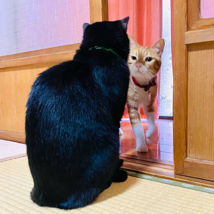 C1fdc5a9 611f 4f2f b60d e6c0cd45da3a 1684644826930