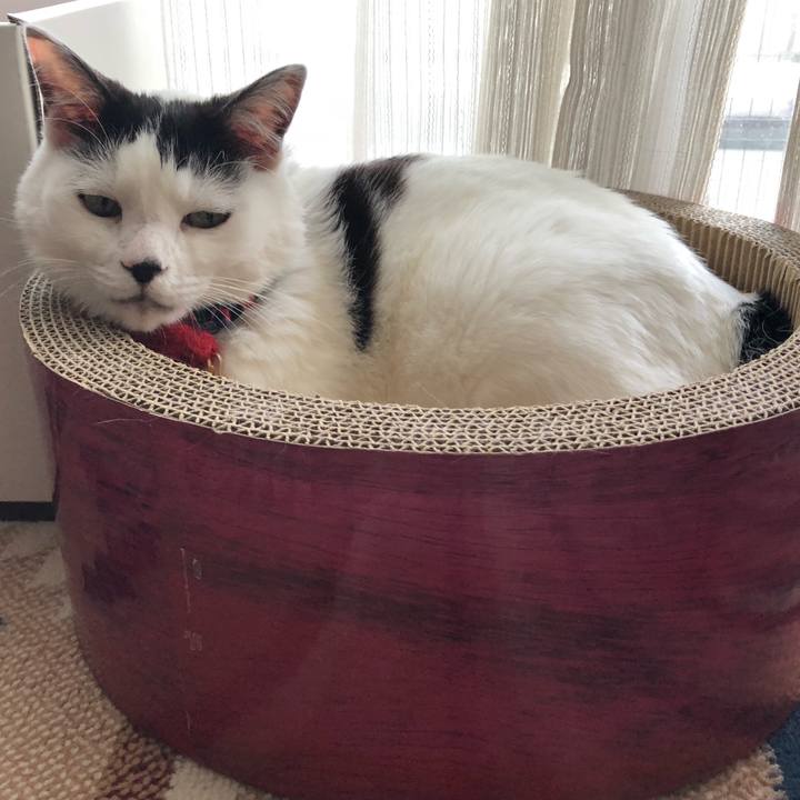 C1fdd0a1 a043 4f8e 8e05 ec872e03da4c 1526512814686