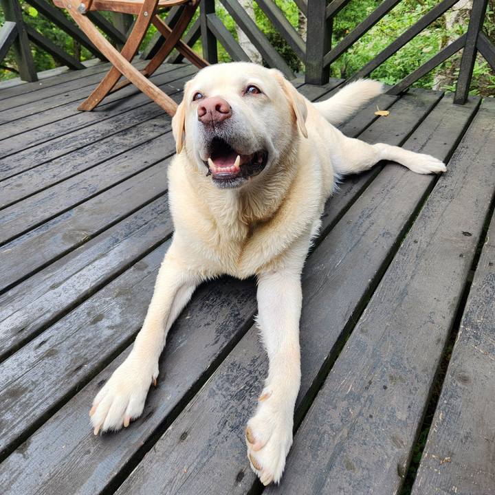 C1fdf301 e341 45ec 866b 1ff4f27652a5 1756176268916