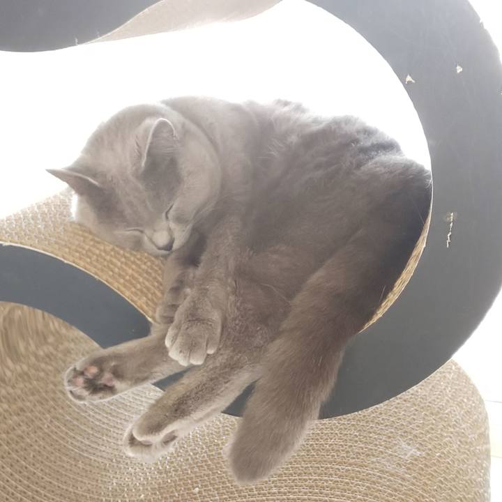 C1fe22cf f5b0 4b5d a73d 703d375c11a5 1539145491653