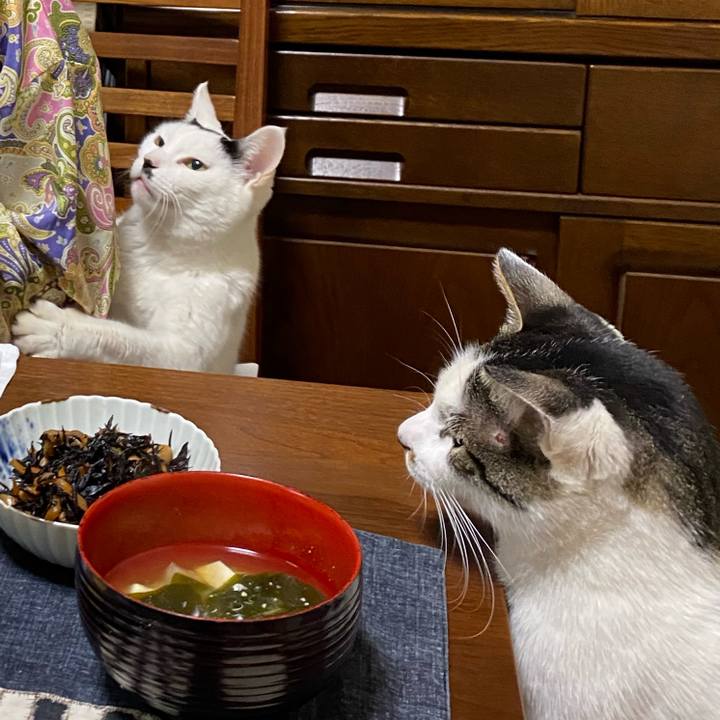 C1fe3331 9764 4284 8565 08b40eccf507 1673697113359