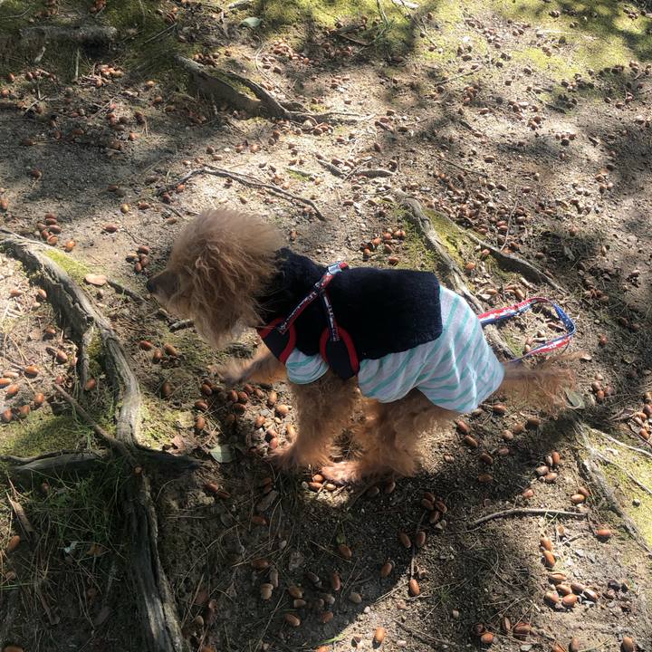 C1fe4605 61ce 4c4a bac7 c0f417ba9331 1696998663955