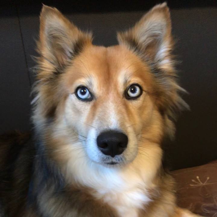 C1fe5698 51a6 43f5 9cd7 85f4c632077e 1509949103753