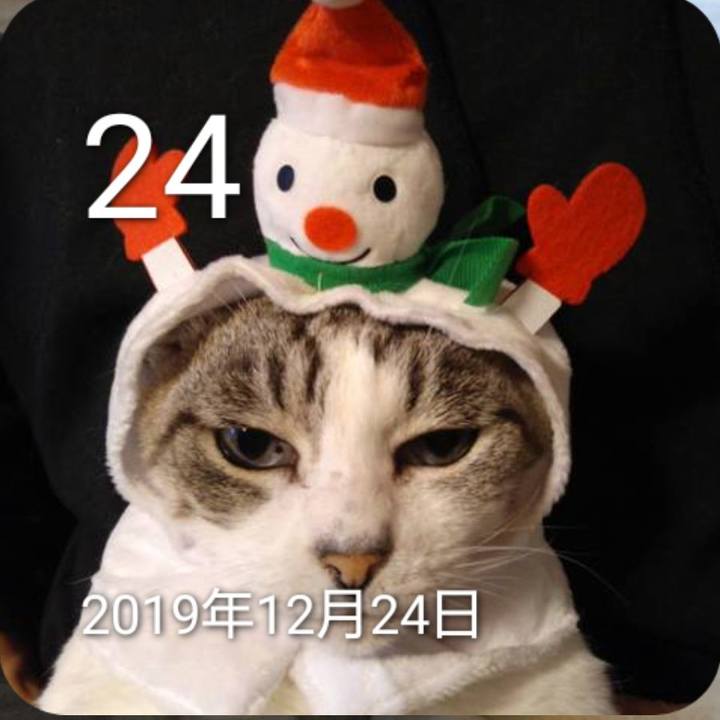 C1fe81ad 6dde 4bd3 8eb6 22f7e109c877 1766569559421