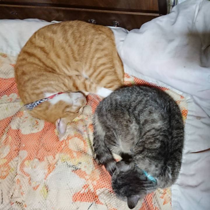 C1fed066 4270 4171 a8b3 77f494996b55 1570708548970