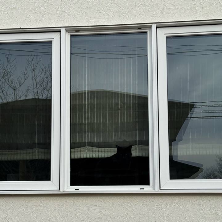 C1ff0236 363e 43e9 a3d8 02538d366966 1769988453996