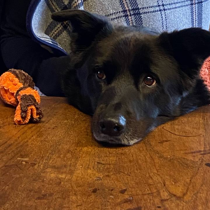C1ff199c ca44 45ab 9fd7 e2bf5241e947 1737246747035