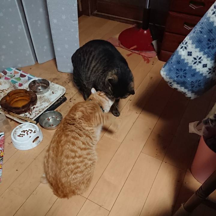 C1ff278a 18da 4ce9 9654 9654bcfe6c02 1650489221317