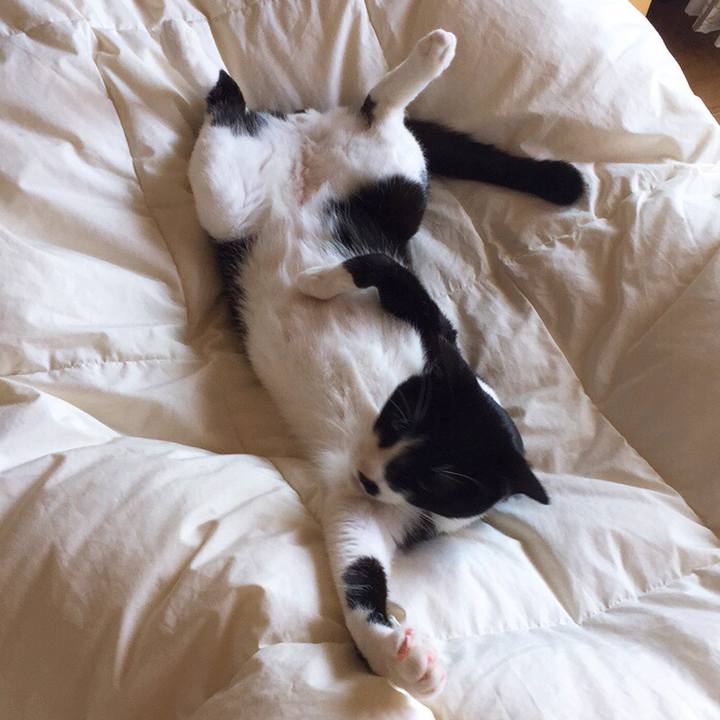 C1ff566a e6d8 459b 80c7 656cfdafcb5d 1528085865800