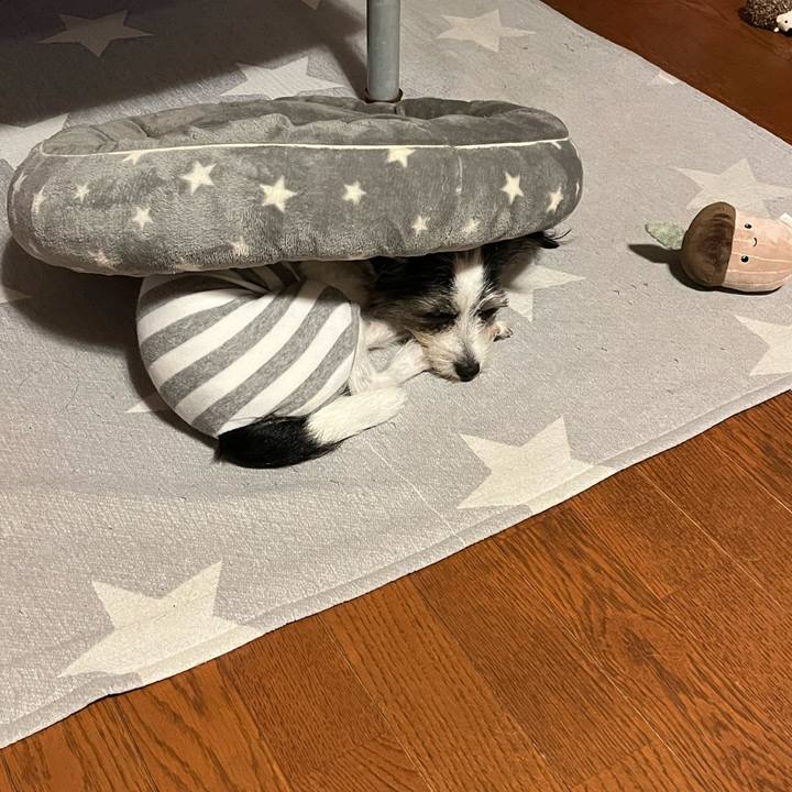 C1ff882c 6ec2 4a0b b30e 106e7e3cfa89 1699912961348