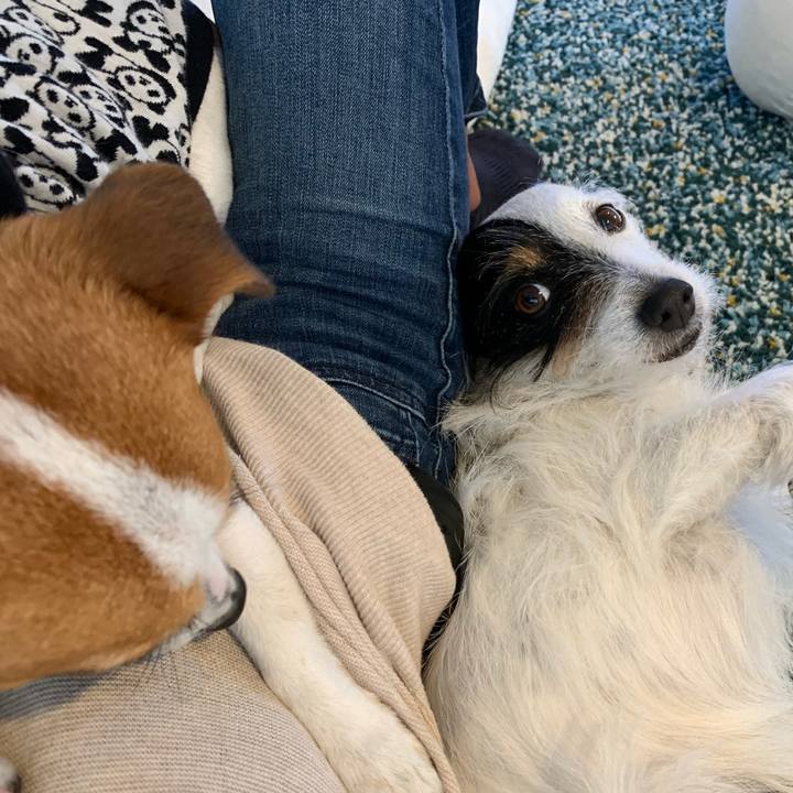 C1ff997b 260c 431a bdec eab2224400eb 1584858335421