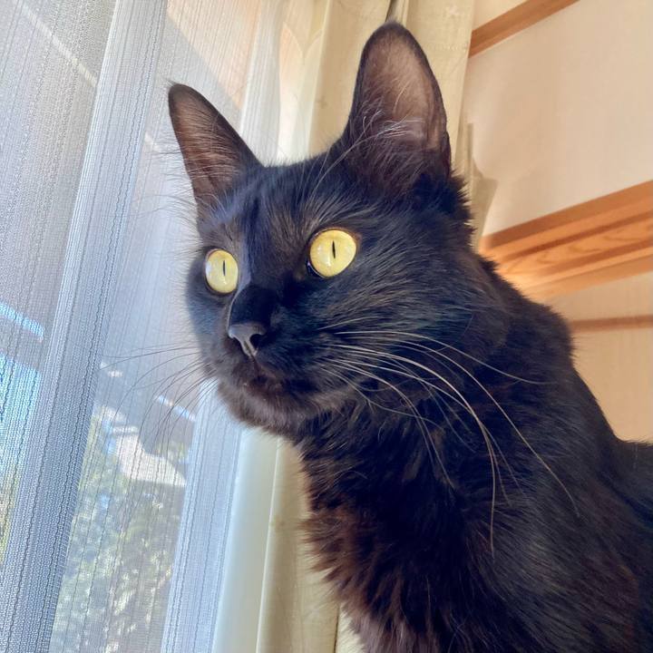 C1ffab26 4ae4 4ba8 93cc 27264b8e8adf 1737974699765