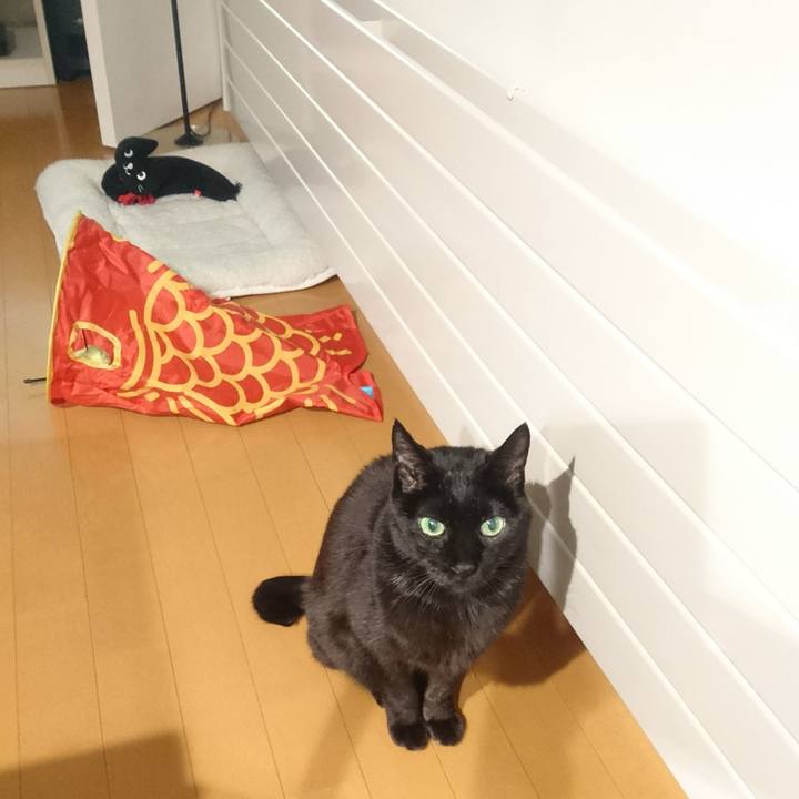 C1ffb883 f0e8 481d 835d 56eb5bc8c30f 1516141027334