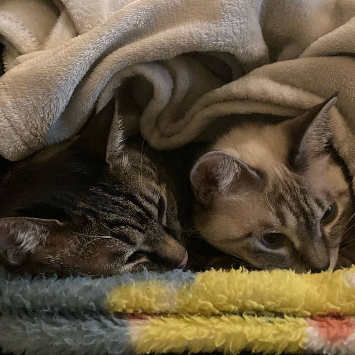 C1ffca83 7642 48cb 858f 81ce11e453b2 1700221671250