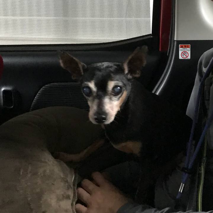 C1ffcc76 f3b0 4dba 8352 627b7c11026a 1556761122691