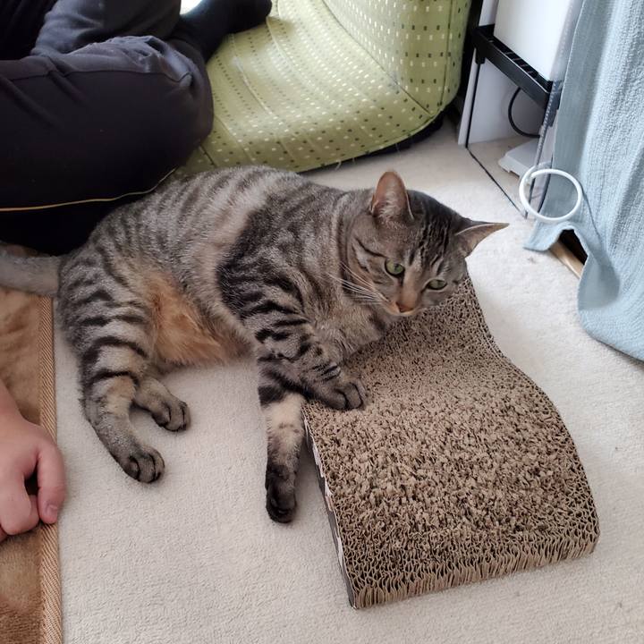 C1ffda01 8173 43f4 a1cc 9a9d7b48b4cb 1711034969254