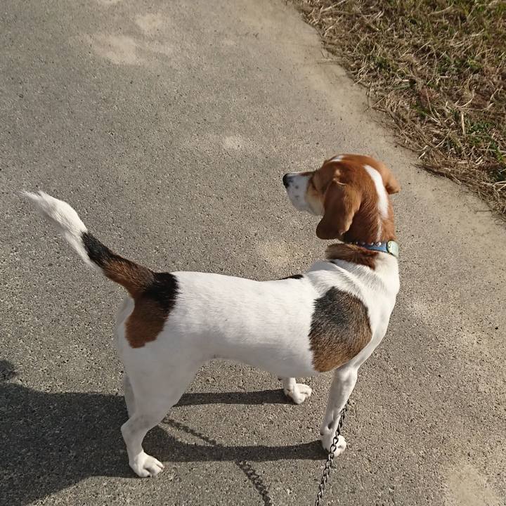 C1ffdef5 9d59 4798 90e3 b8f0e140dc8c 1574303826873