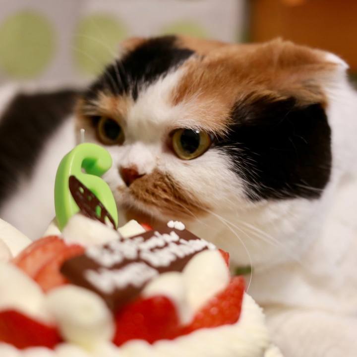 C1ffe11a 128c 4fab 86a5 44f09f708df8 1571732962530