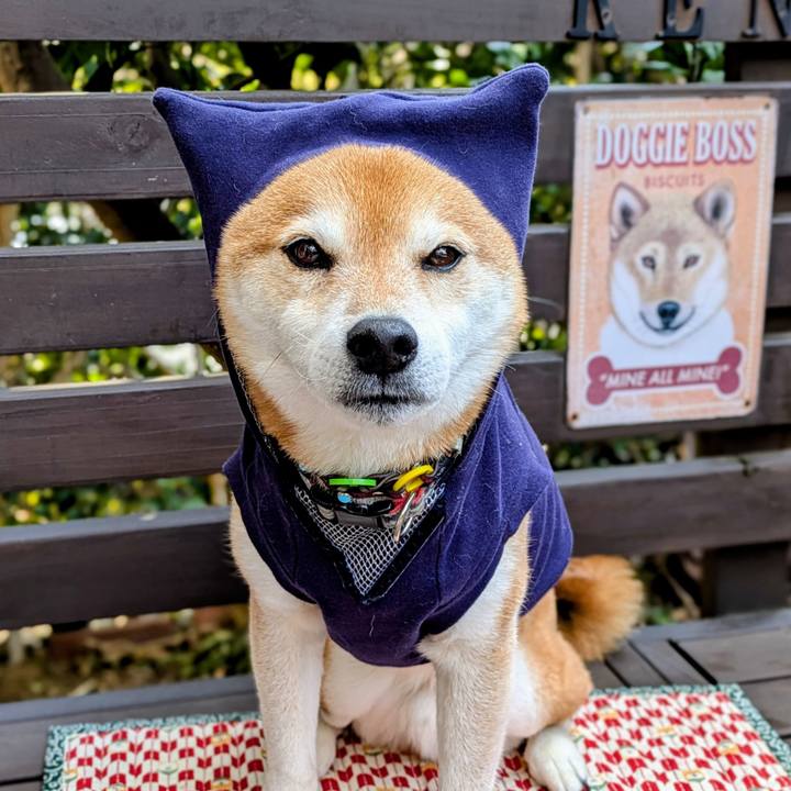 C1ffe64e 8694 43a0 b3e6 d79b69311bda 1770860615812