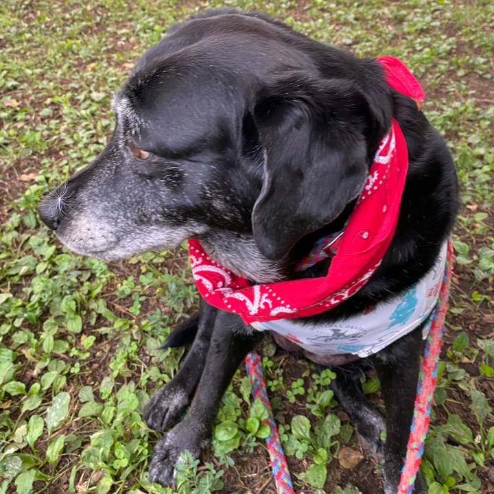 C1ffee67 72da 4783 a770 b142f9732f1c 1664262518983