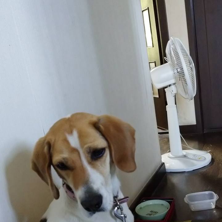 C2001244 07a6 4cd8 b0de a1842172921a 1590641278936