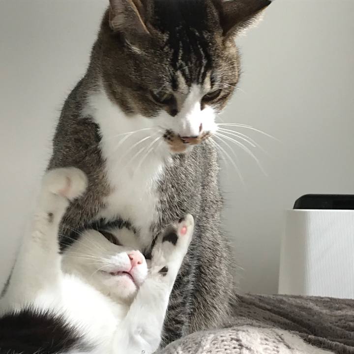 C2001e66 a5f1 44a5 acc7 227e83fd94dc 1520138728601