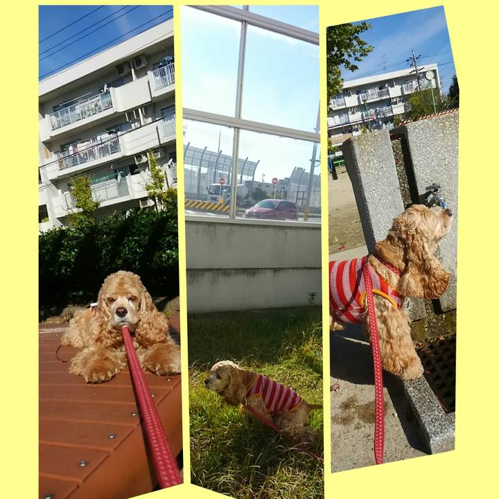 C2005778 6095 4cda 84fa 736a661f456e 1509598085550