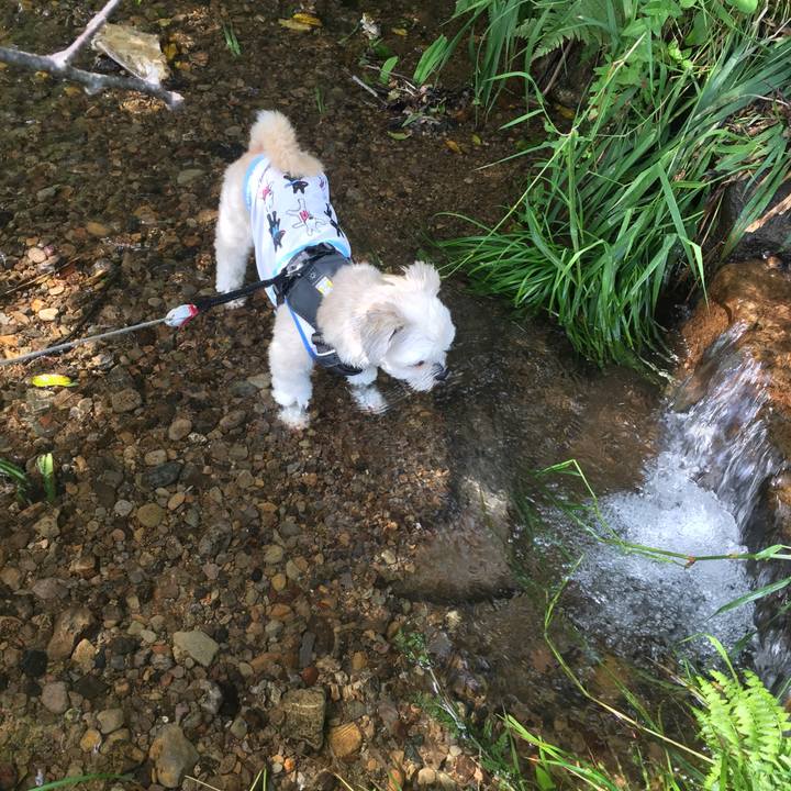 C2006673 6b86 49e3 bdeb 8538bb667bd5 1566637765390