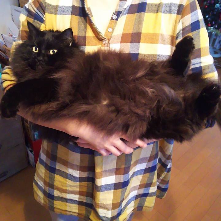 C200879c 99cc 40c3 911e 13db910ddbdf 1545519565071