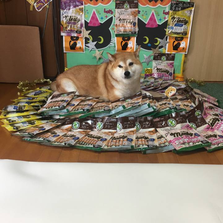 C2008eba 04c3 4048 9475 ed93cfef067b 1632553106026