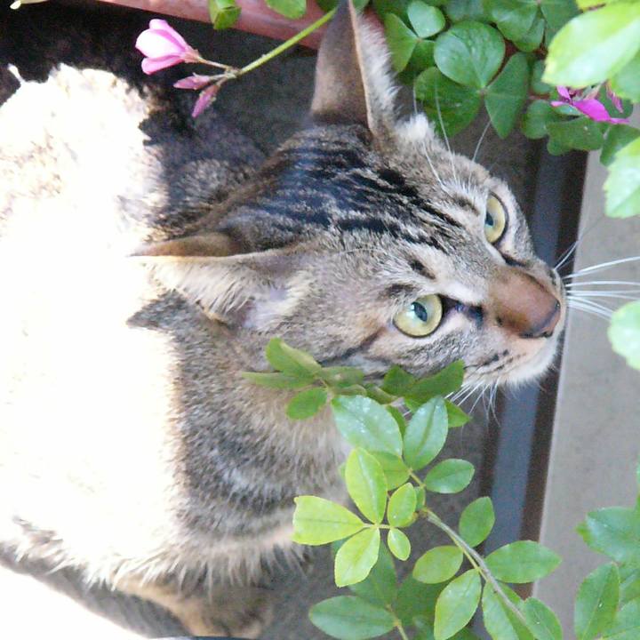 C200b1ba 894e 4d06 a117 97b5f56ec4c1 1570002920896