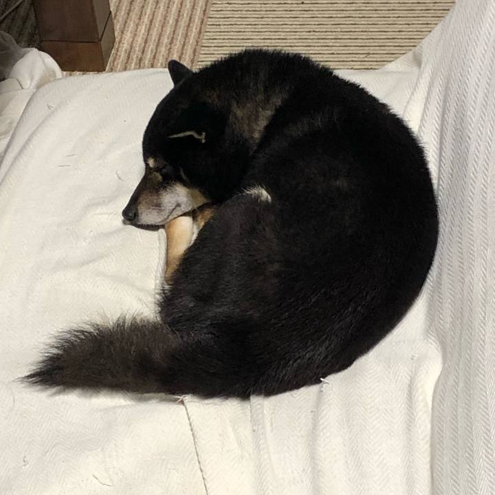 C200b530 90e3 4f01 9636 e6edaf76be76 1547546420036