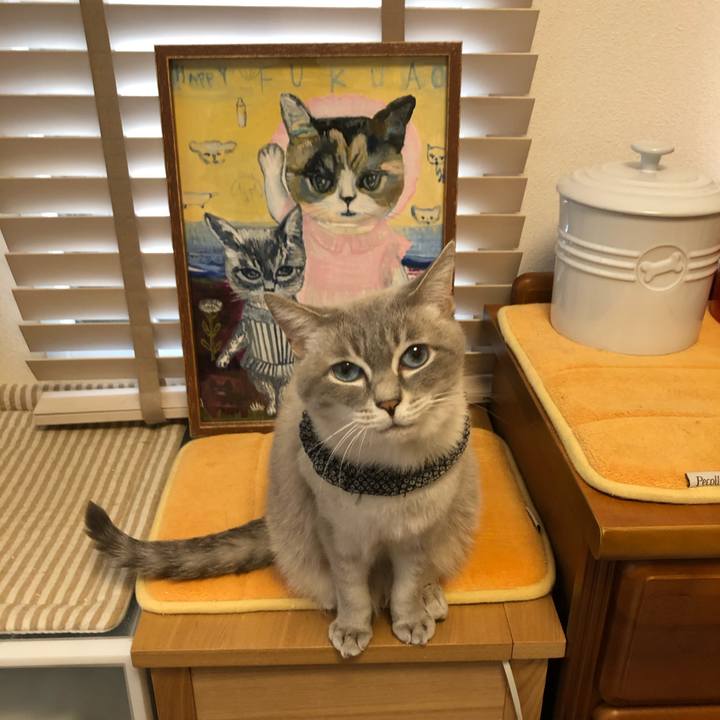 C200ba94 419d 4a9d ba7e 6b31913aed2f 1762206003446