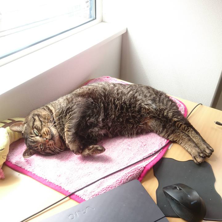 C200ce35 89ef 4f78 ab5e e5db52d5b3c6 1523849303851