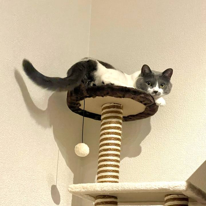 C2012fad c1aa 4da2 b39e 58c924bb2ee8 1672235457599