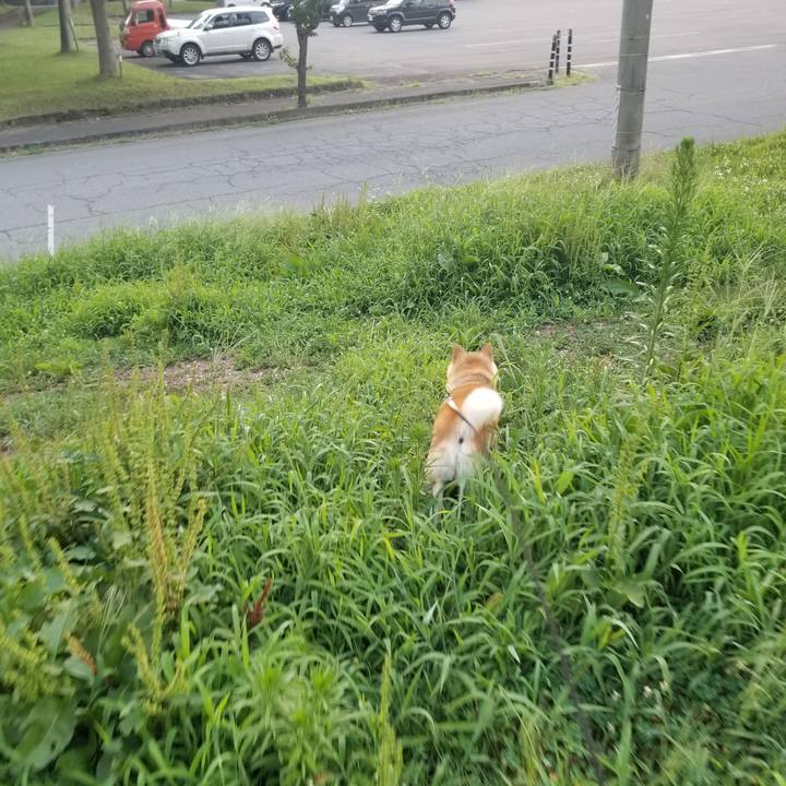 C201319d 4af2 490f ad7f 496e0a6efdd8 1659259097829