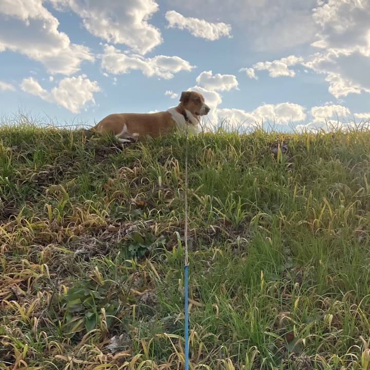 C201417f 51ad 4fe6 abad a1bdbe1f3d23 1639975425041