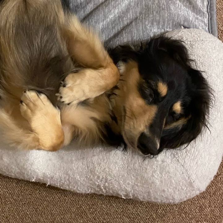 C201560f 454f 4938 b43d e745f36a056c 1690785809073